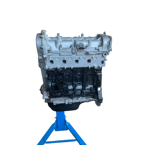 Motore revisionato 199B1000 Fiat 1.3 mjt €5