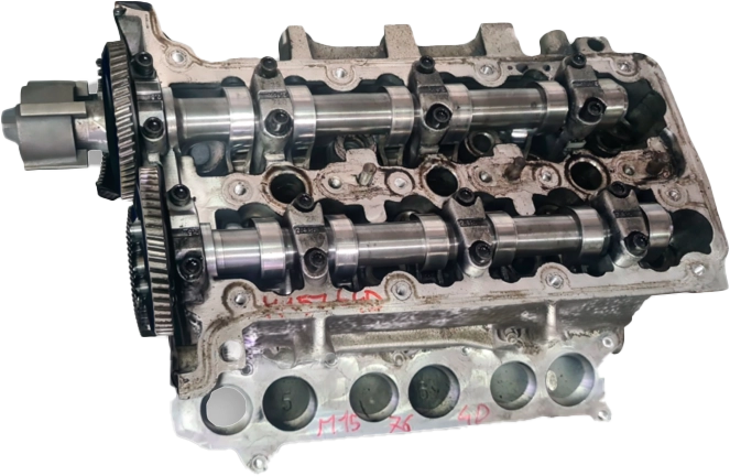 Testate motore